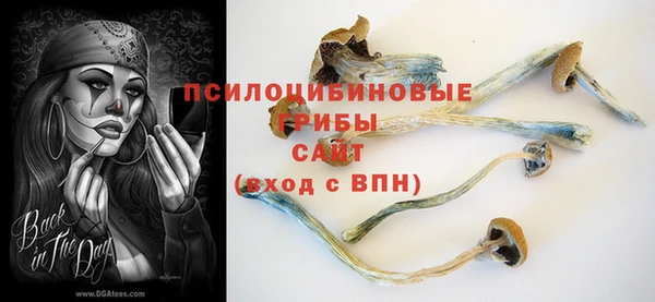 шишки Алексин