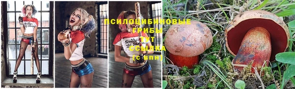 винт Алексеевка