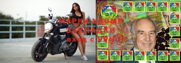 шишки Алексин