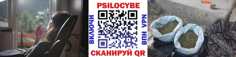 Галлюциногенные грибы Psilocybine cubensis  Купить где  Кувшиново 